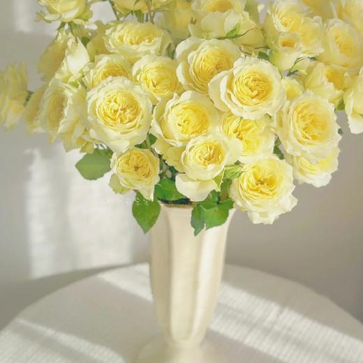 国产玫瑰-多头玫瑰-暖暖-10支 商品图0