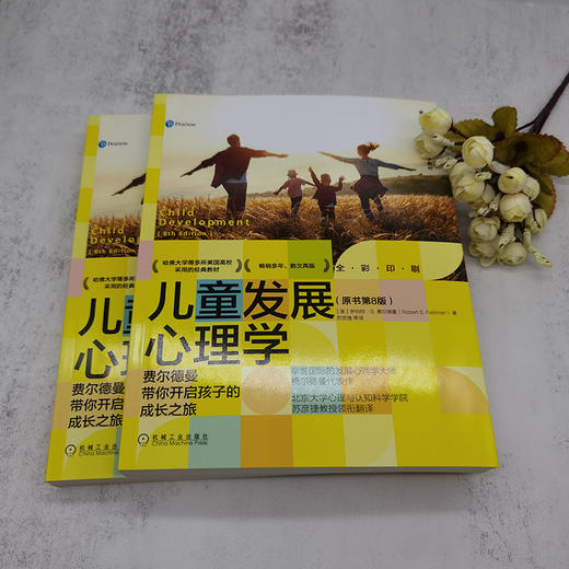 儿童发展心理学：费尔德曼带你开启孩子的成长之旅（原书第8版） 商品图2