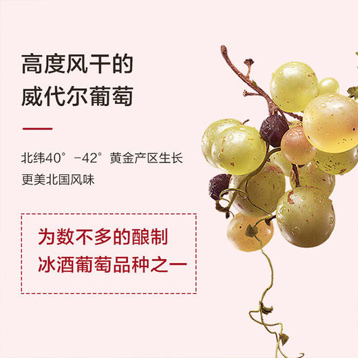 通化荣耀雅士樽冰白葡萄酒（典藏版） 商品图1