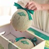 海南牛3网纹哈蜜瓜 |水果 商品缩略图3