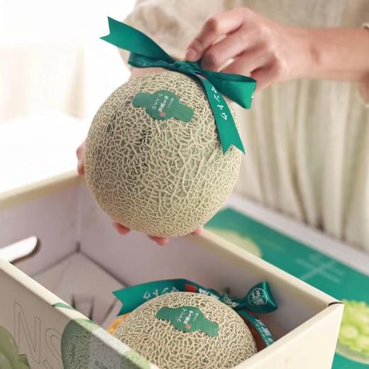 海南牛3网纹哈蜜瓜 |水果 商品图3