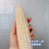 漳洲牛奶水果玉米  |果蔬 商品缩略图3