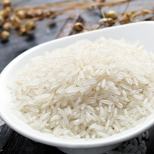 万年贡甄选丝苗米5kg 商品图2