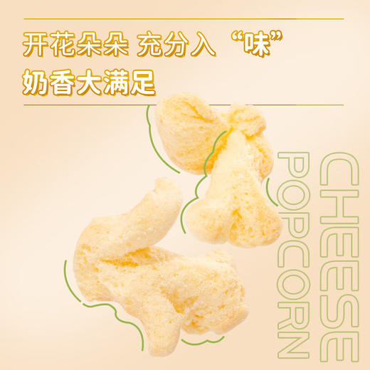 奶酪计划干酪酥酥芝士味65g 商品图4