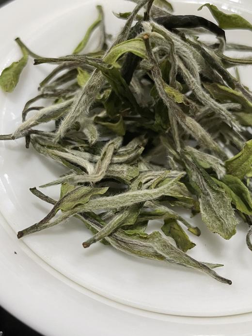 莲心 白牡丹 2023年 没采银针的牡丹王 基地有机管理 商品图4