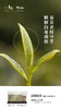小罐茶旗下年迹 老树银针（紧压白毫银针茶）博鳌亚洲论坛2023年年会纪念茶 商品缩略图2