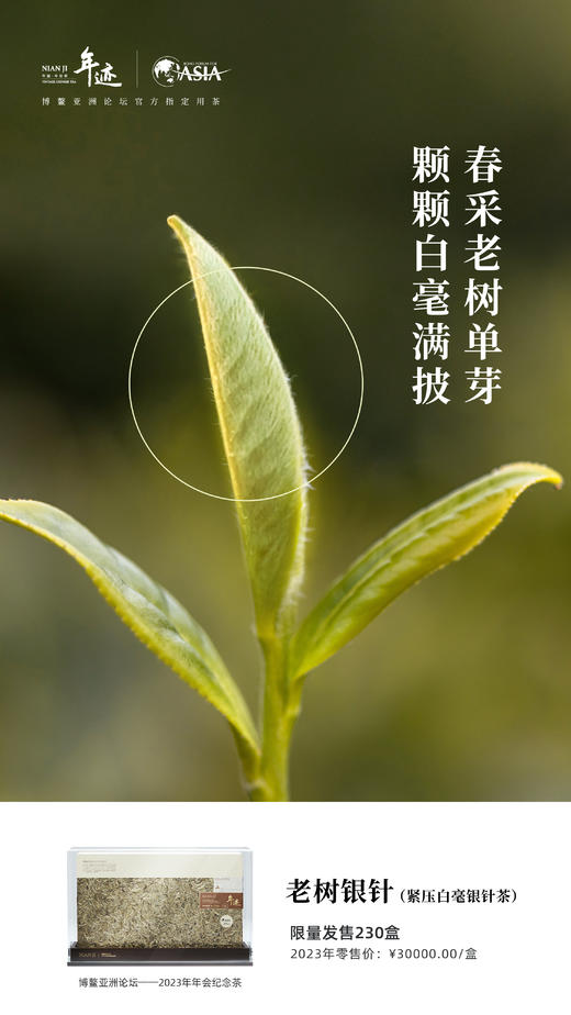 小罐茶旗下年迹 老树银针（紧压白毫银针茶）博鳌亚洲论坛2023年年会纪念茶 商品图2