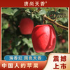 瑞香红苹果3斤装木美土里2025新产季脆甜好吃家庭装 商品缩略图0