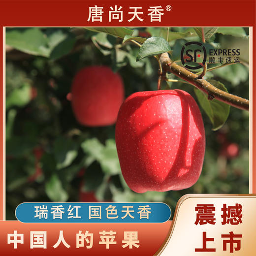 瑞香红苹果3斤装木美土里2025新产季脆甜好吃家庭装 商品图0