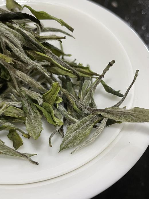 莲心 白牡丹 2023年 没采银针的牡丹王 基地有机管理 商品图3