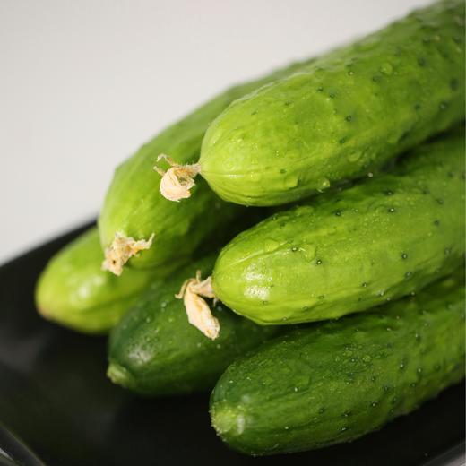 新鲜果蔬 绿道带刺小黄瓜 500g/盒 商品图2
