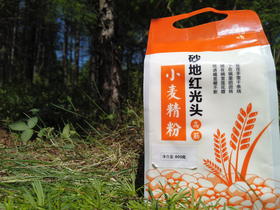 雁归情砂地红光头小麦精粉（高筋）