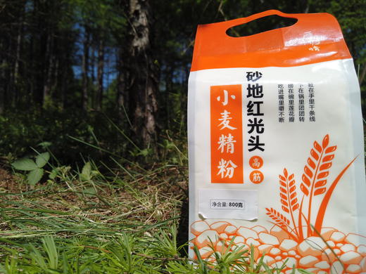 雁归情砂地红光头小麦精粉（高筋） 商品图0