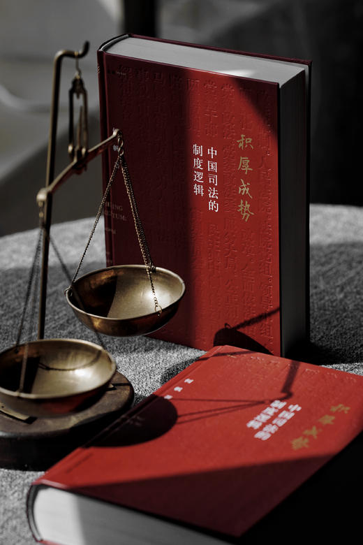 《积厚成势：中国司法的制度逻辑》丨非签名本 商品图1