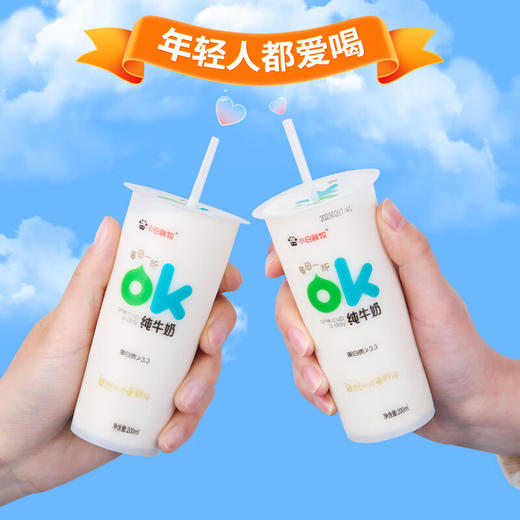 小白鲜牧OK纯牛奶200ml 商品图2