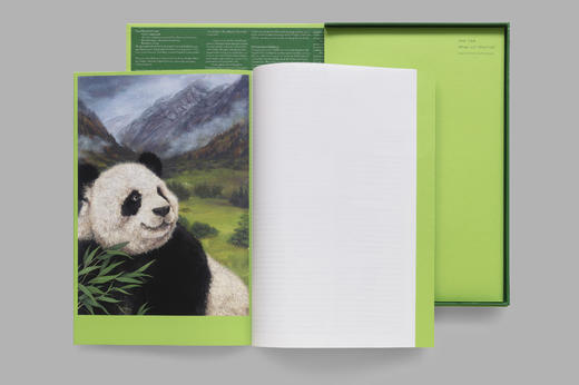 大熊猫！大熊猫！ 商品图3