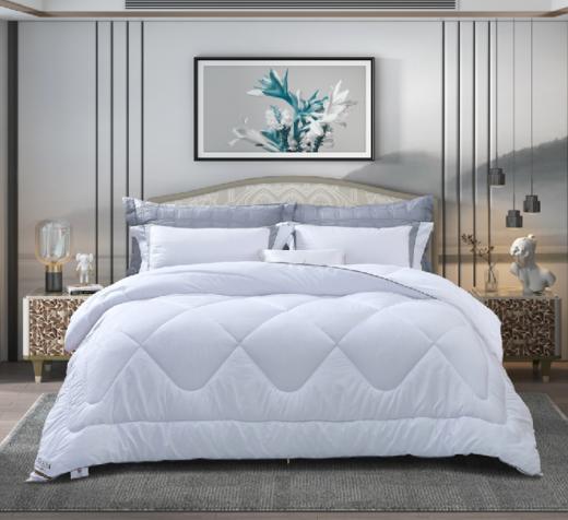 【团购展示】富安娜 醇享舒适四季被 商品图0