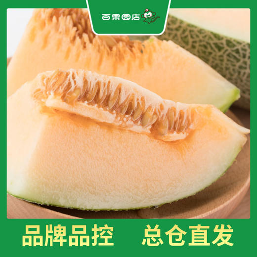 PAGODA百果园 B级-沙漠蜜瓜2粒装（净重约6斤） 商品图3