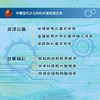 非法智慧 张之路 著 课外读物 商品缩略图3