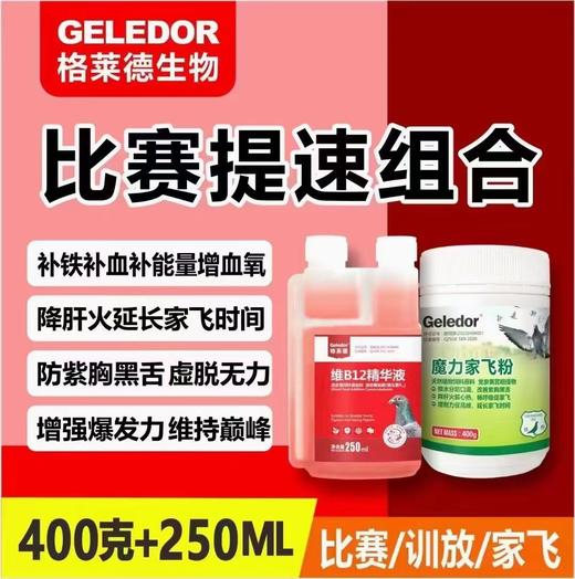 【魔力家飞粉+维b12精华液】防口渴、增耐力、延长家飞补铁补血补能量（格莱德） 商品图0