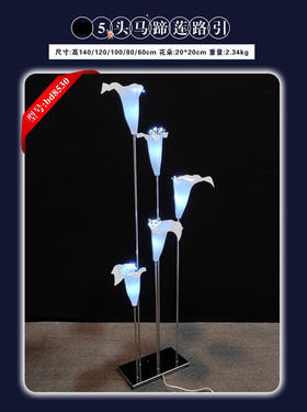 5头马蹄莲路引（运费自理）