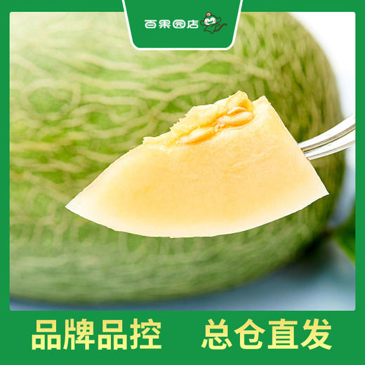 PAGODA百果园 B级-沙漠蜜瓜2粒装（净重约6斤） 商品图4