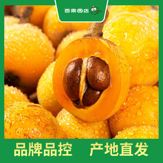 PAGODA百果园 米易枇杷3斤彩箱装（中果，单果重30g-45g） 商品图2