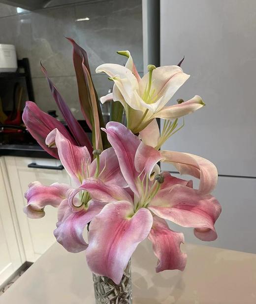 罗宾娜粉百合2支（拼团） 商品图4