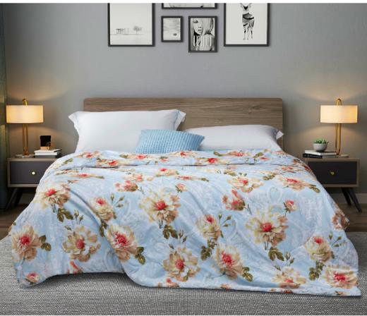 【团购展示】富安娜 印花蚕丝被-飞仙流萤 商品图0