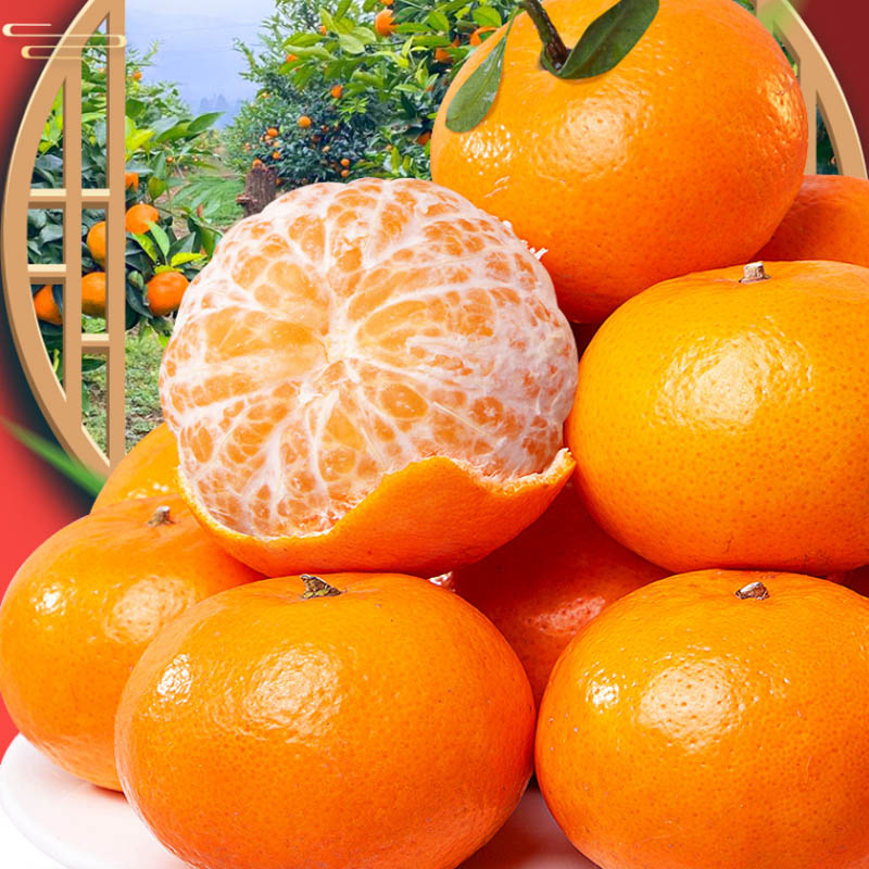 精品沃柑 约1000g/份