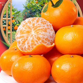 精品沃柑 约1000g/份