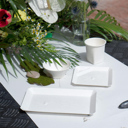 稀奇艺术+戴昆《轻宴》艺术家设计高端露营聚餐一次性餐具艺术品 商品图6