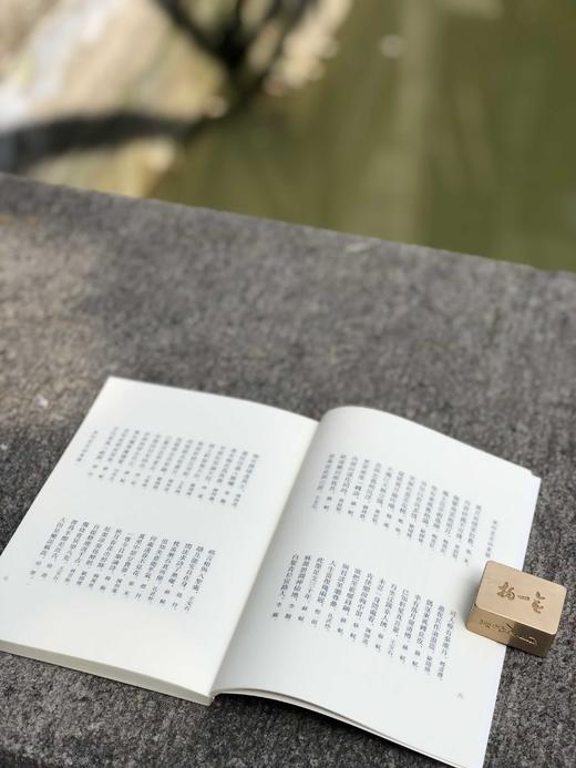 《艺文丛刊》第六辑，盒装全12册，平装32开，浙江人民美术出版社，定价388元，售价291元。 商品图6