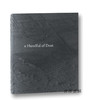 David Campany: A Handful of Dust / 戴维·坎珀尼：一把灰尘  商品缩略图0