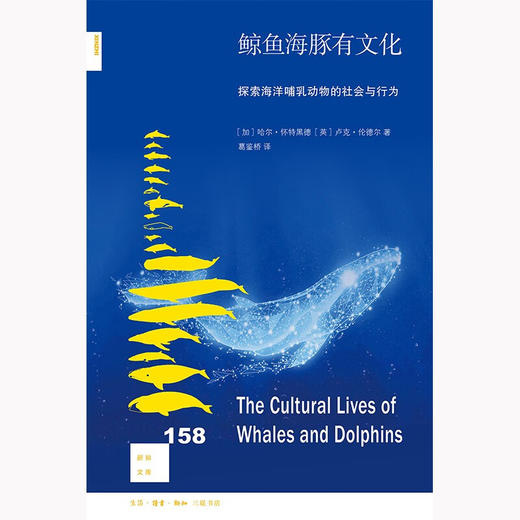 鲸鱼海豚有文化 探索海洋哺乳动物的社会与行为 新知158 哈尔·怀特黑德等 著 科普新知 商品图1