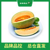 PAGODA百果园 B级-沙漠蜜瓜2粒装（净重约6斤） 商品缩略图2