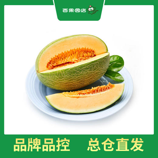 PAGODA百果园 B级-沙漠蜜瓜2粒装（净重约6斤） 商品图2