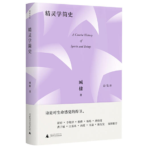 签名版鲁迅文学获奖者 臧棣诗系：精灵学简史 诗是对生命感觉的捍卫。舒婷、奚密、李敬泽、柏桦、杨炼、唐晓渡、洪子诚、江弱水、西渡、王敖、陈先发等联袂推荐。 商品图0