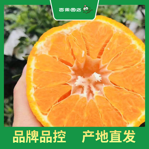 PAGODA百果园 不知火·丑橘5斤彩箱装±0.1（大果，果径80mm-85mm） 商品图2