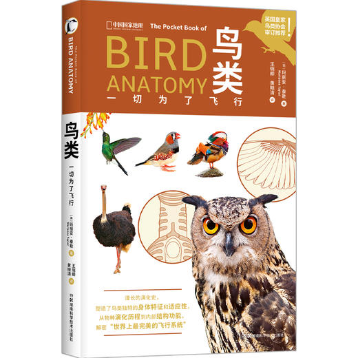 鸟类：一切为了飞行，300多幅照片、手绘图、信息图，展现了鸟类演化历程和飞行系统 科普图书 商品图0