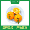 PAGODA百果园 不知火·丑橘5斤彩箱装±0.1（大果，果径80mm-85mm） 商品缩略图5