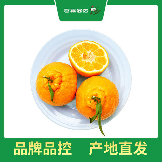 PAGODA百果园 不知火·丑橘5斤彩箱装±0.1（大果，果径80mm-85mm） 商品图5