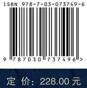 隋唐洛阳含嘉仓城考古发掘报告 商品图2