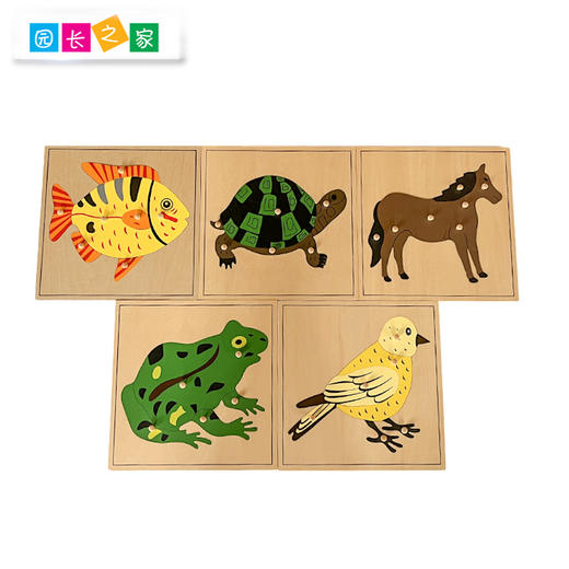 AMI教具 蒙氏动植物嵌板 商品图1