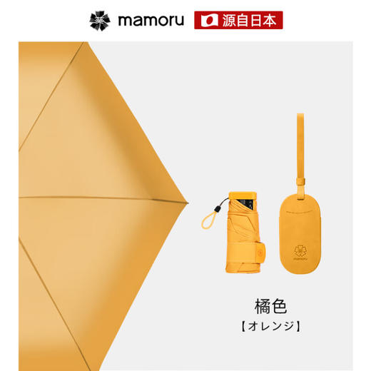 MAMORU日本葵伞太阳伞雨伞遮阳伞六折  XHR 商品图7