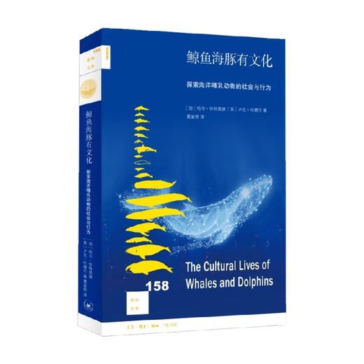鲸鱼海豚有文化 探索海洋哺乳动物的社会与行为 新知158 哈尔·怀特黑德等 著 科普新知 商品图0