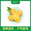 PAGODA百果园 秭归脐橙（伦晚）5斤精品礼盒装（大，单果径75mm-85mm） 商品缩略图2