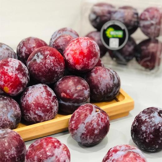 智利紫蜜李 |进口水果 商品图3