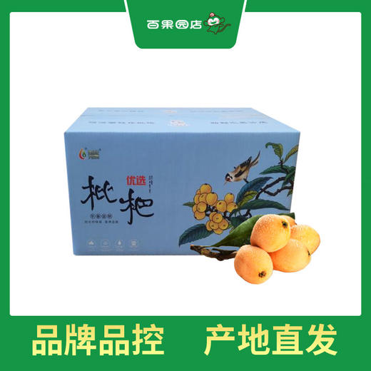 PAGODA百果园 米易枇杷4斤彩箱装（大果，单果重45g以上） 商品图4