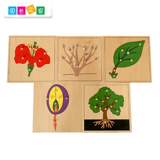 AMI教具 蒙氏动植物嵌板 商品图2